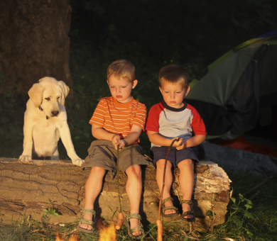 Two boys and a dog by a campfire