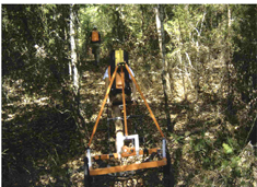 Trail clearing operations during remedial investigation