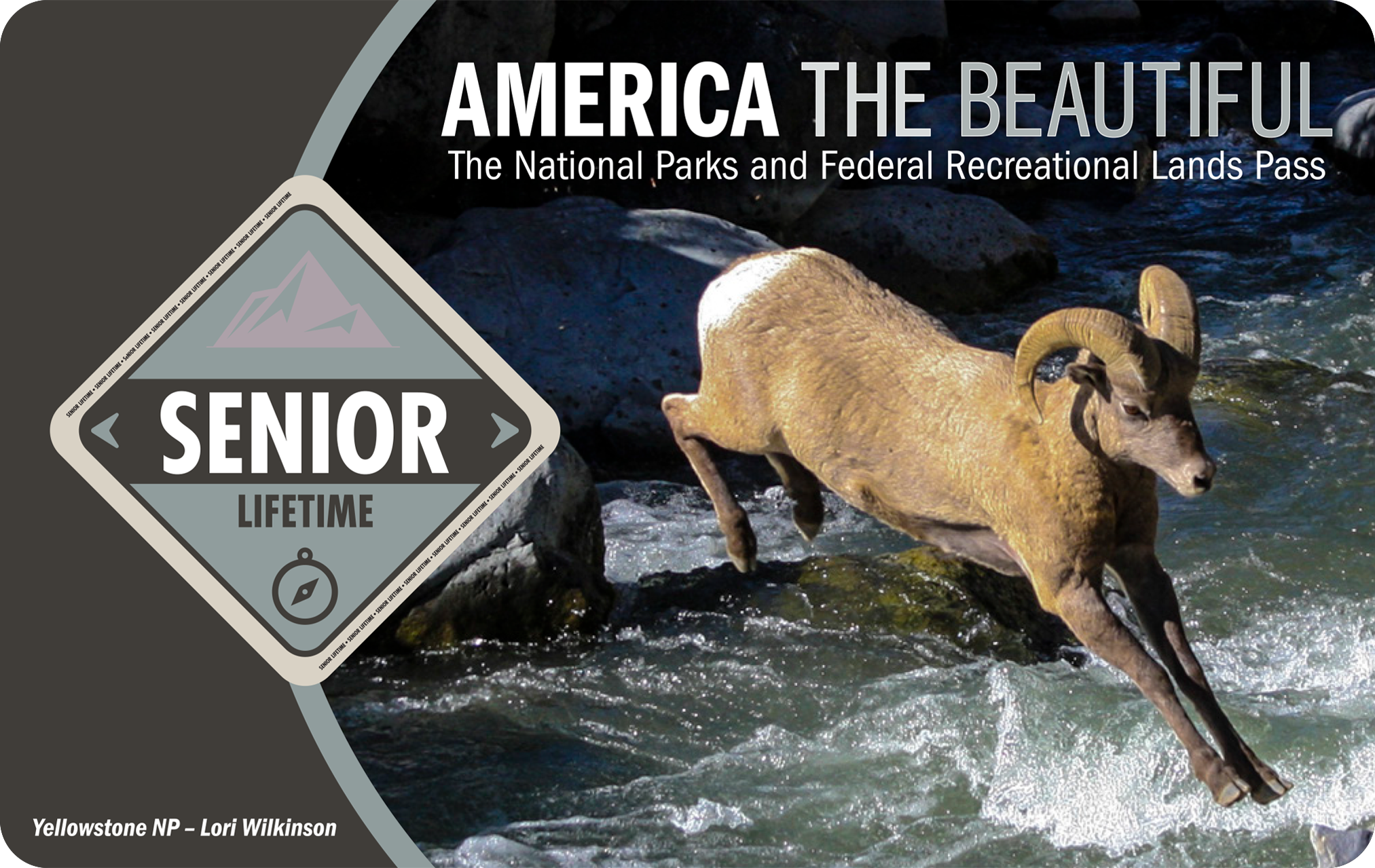 graphic - America the Beautiful Senior Lifetime Pass 