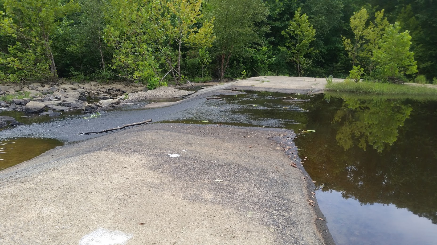 water running over a low water crossing surrounded by forest