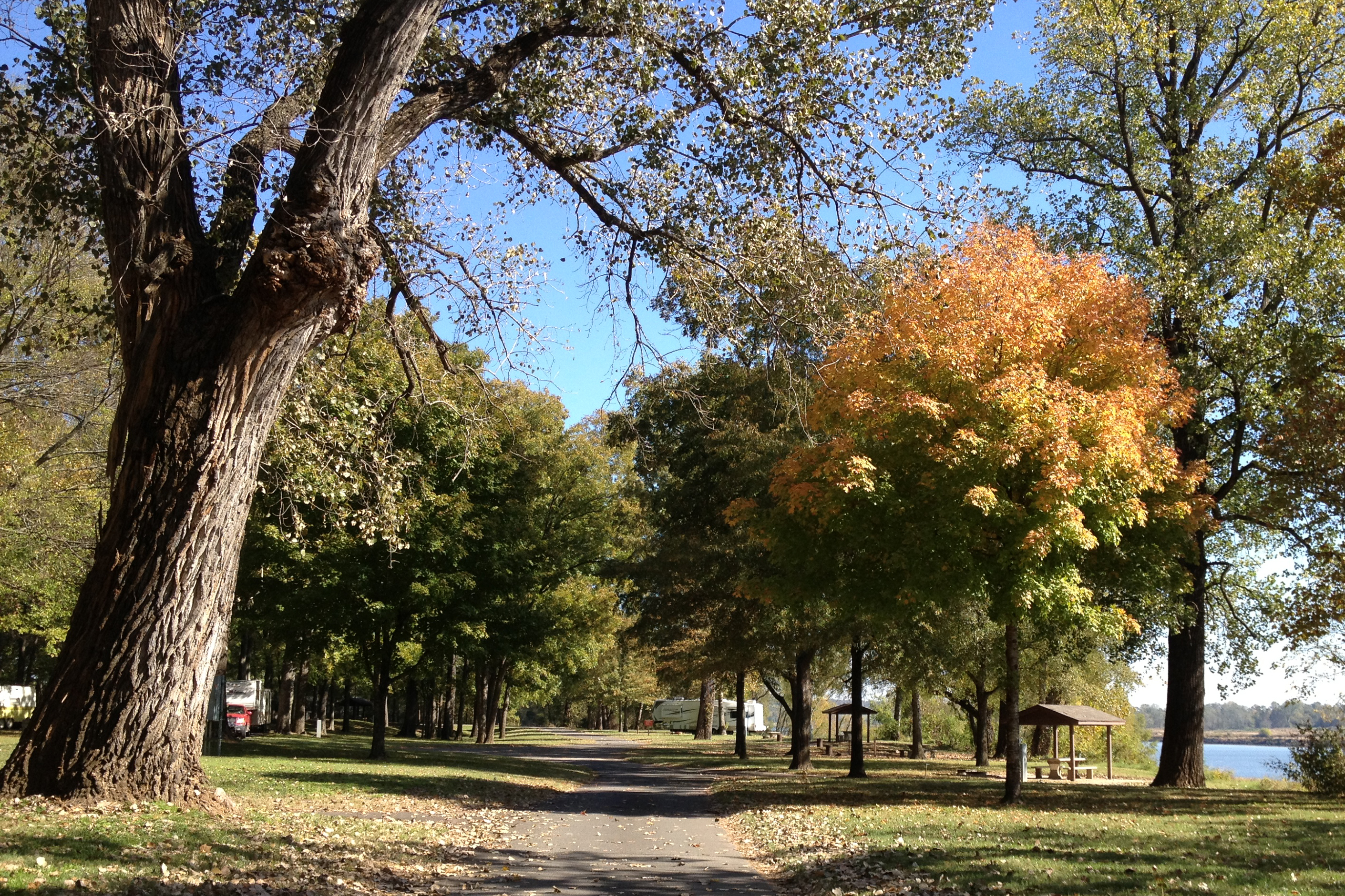 Cherokee Park Fall Color